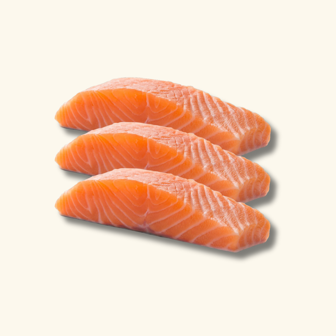 Salmón Salar 5'6 Premium | Food Commerce LCA